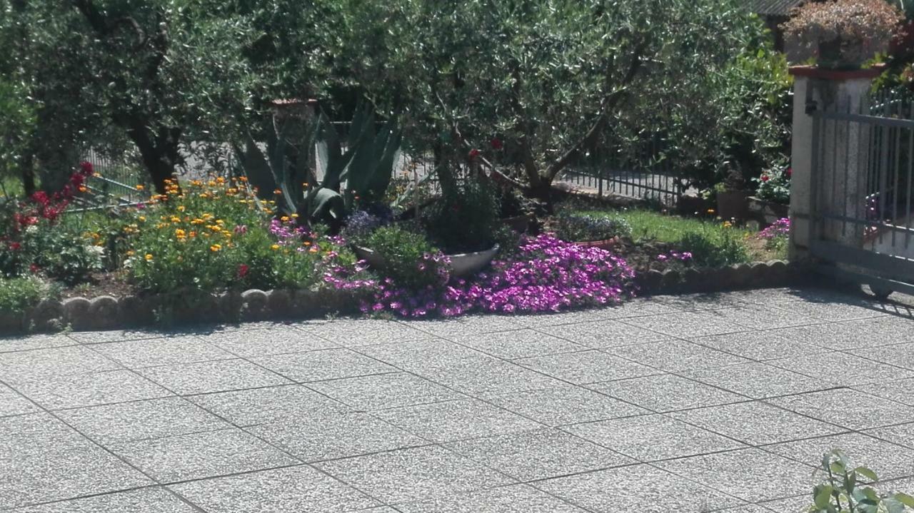 B&B Ripalta Sogliano al Rubicone Exteriör bild
